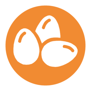 ICONO HUEVOS